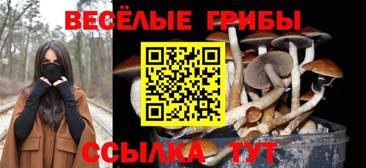 где продают наркотики  Вход с VPN  Первоуральск  Псилоцибиновые грибы мухоморы 