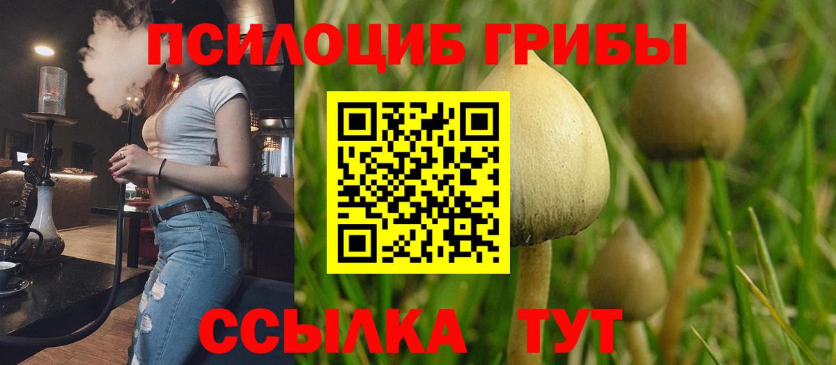 Псилоцибиновые грибы ЛСД Первоуральск
